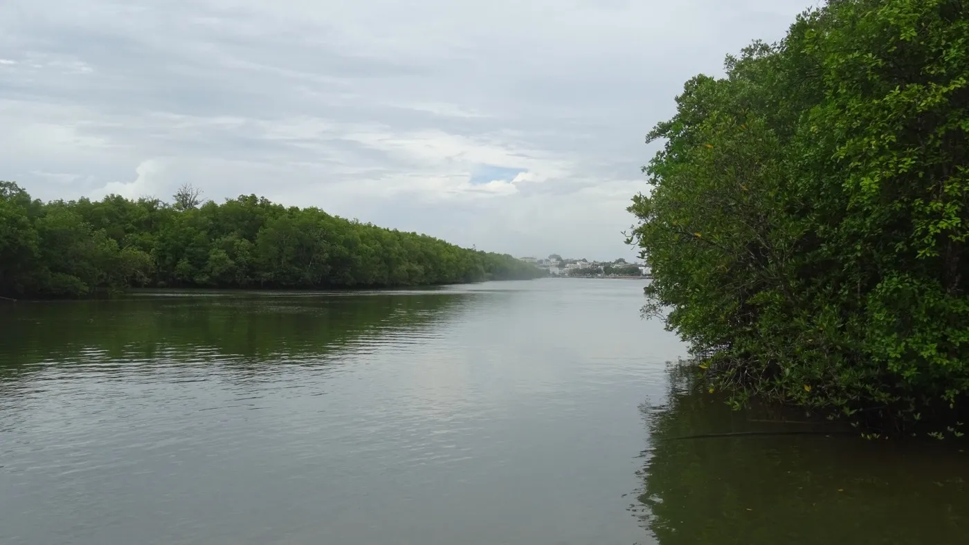 The calm Krabi River lined with dense green mangroves, the town just visible in the distance