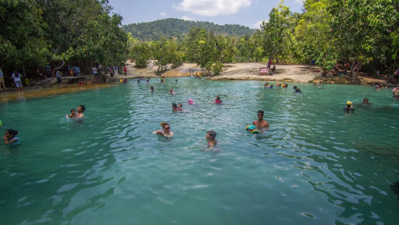 Swimmers in the clear jade-green water of the Emerald Pool, ringed by tall rainforest under a bright sky